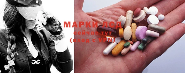 стафф Арсеньев