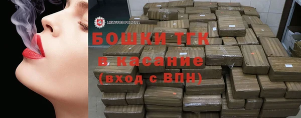 стафф Арсеньев