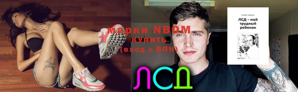 стафф Арсеньев