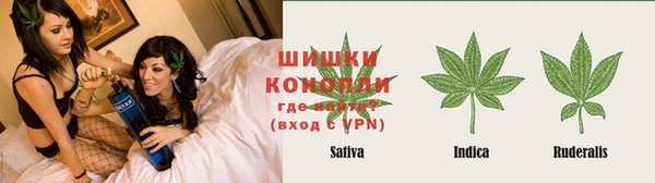 стафф Арсеньев